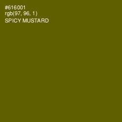 #616001 - Spicy Mustard Color Image